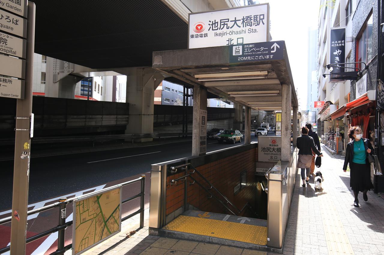 Wise Owl Shibuya Hostal Tokio